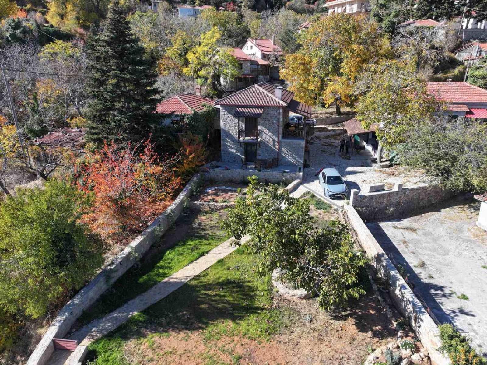 Νόστος Villa Ano Trikala Exteriör bild